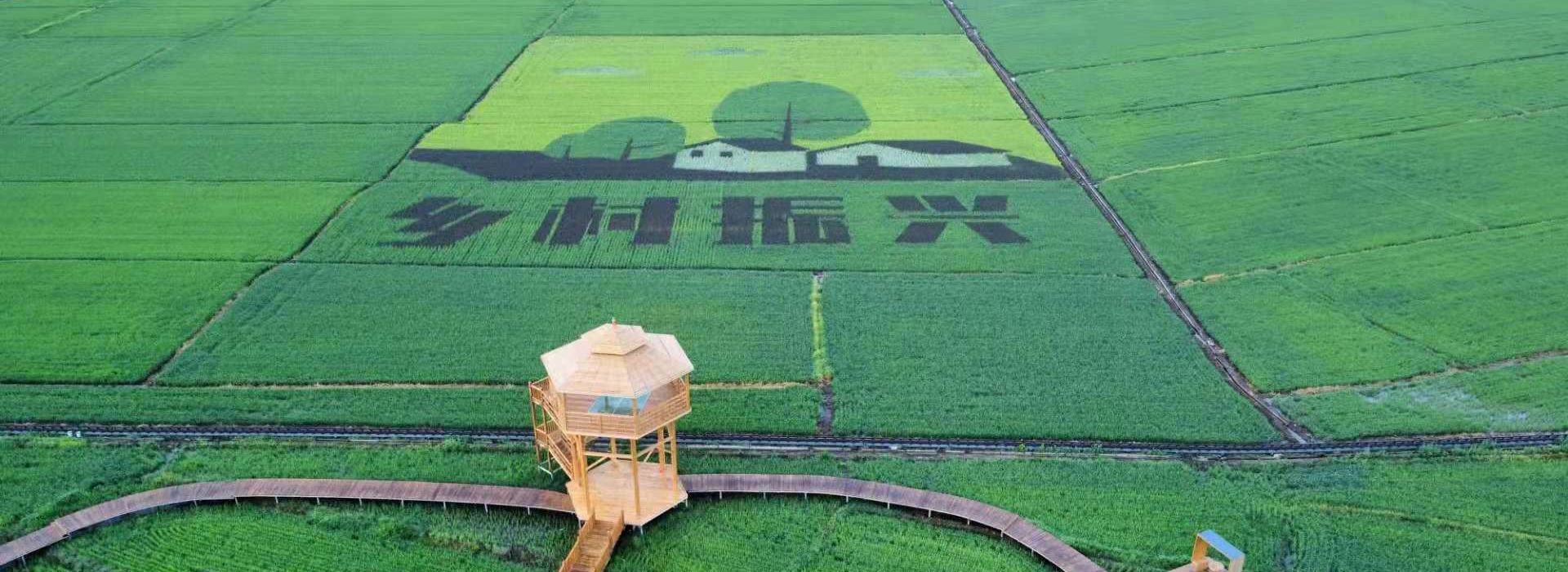 牡丹江市中兴村：走出“农旅结合”新路子