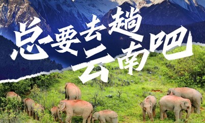 总要去趟云南吧